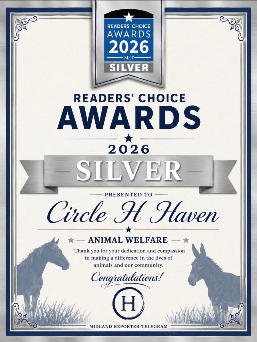 Certificate: Readers' Choice Awards 2026, Silver, presented to Circle H Haven for Animal Welfare by the Midland Reporter-Telegram